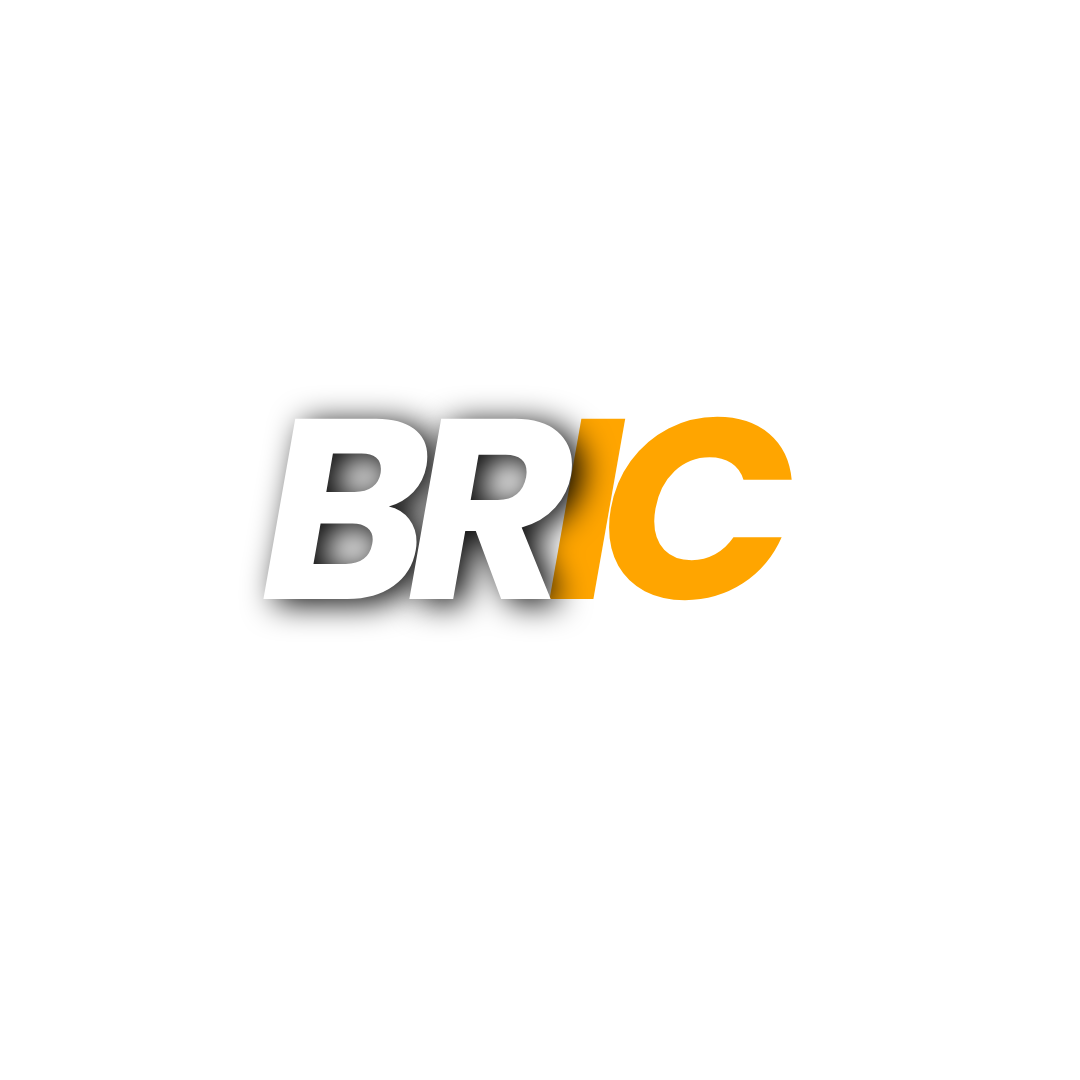 BRIC AI Fusion Logo